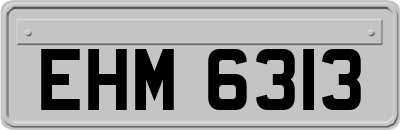 EHM6313