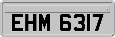 EHM6317