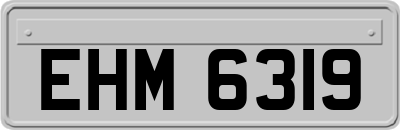 EHM6319