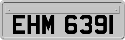 EHM6391