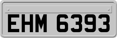 EHM6393