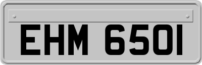 EHM6501