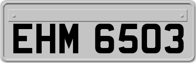 EHM6503