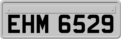 EHM6529