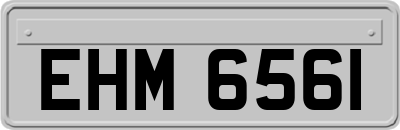 EHM6561