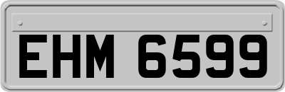 EHM6599