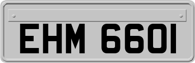 EHM6601