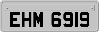 EHM6919