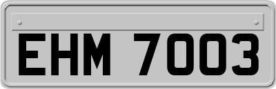 EHM7003