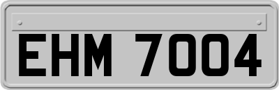 EHM7004