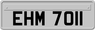 EHM7011