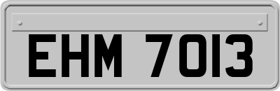 EHM7013