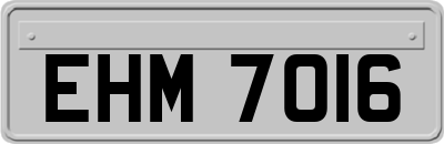 EHM7016