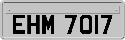 EHM7017