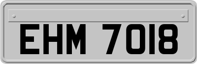 EHM7018