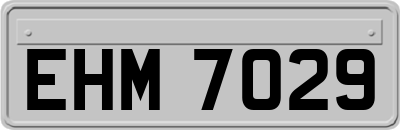EHM7029