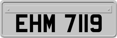 EHM7119