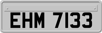 EHM7133