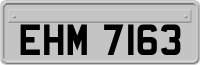 EHM7163