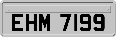 EHM7199