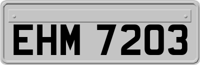 EHM7203