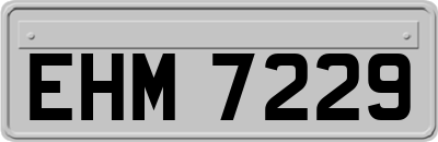 EHM7229