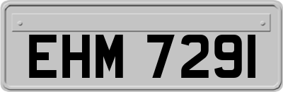 EHM7291