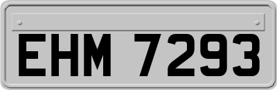 EHM7293