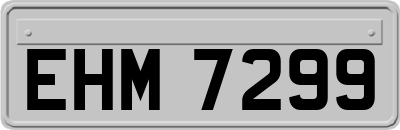 EHM7299