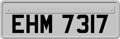 EHM7317