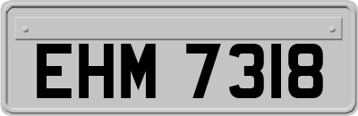 EHM7318