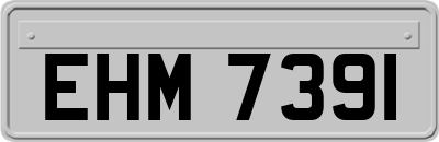 EHM7391