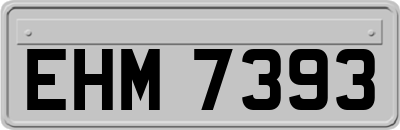 EHM7393