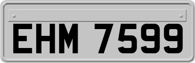 EHM7599