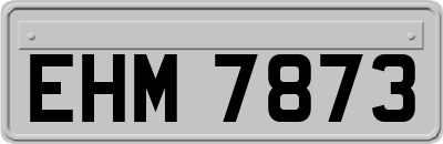 EHM7873