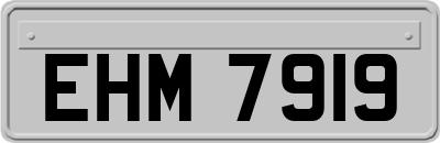 EHM7919
