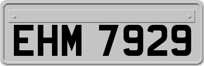 EHM7929