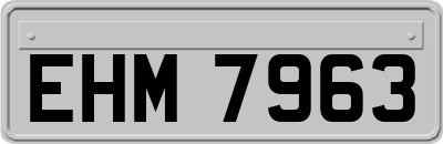 EHM7963