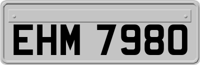 EHM7980