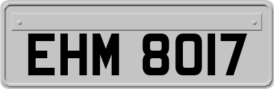 EHM8017