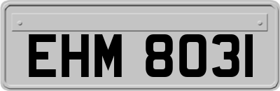 EHM8031