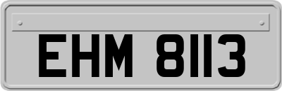 EHM8113