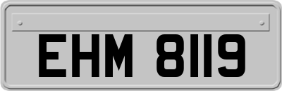 EHM8119