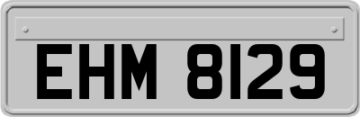 EHM8129