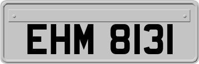 EHM8131