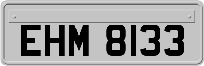 EHM8133