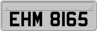 EHM8165