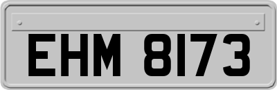 EHM8173
