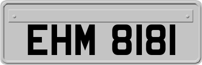 EHM8181