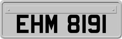 EHM8191